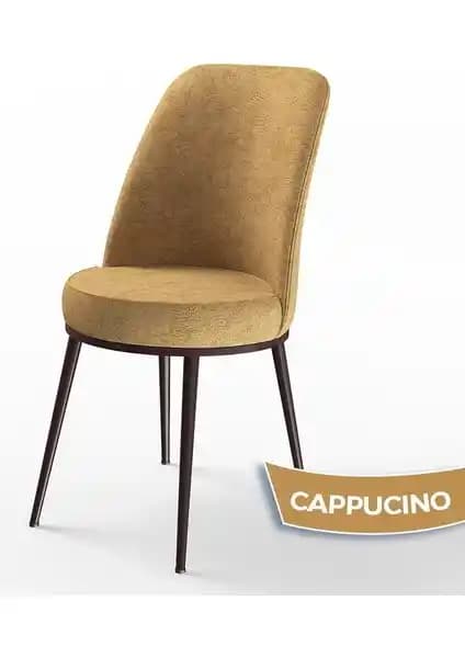 Canisa Concept Dexa ve Nuna Serisi Mutfak Sandalyeleri Karşılaştırması