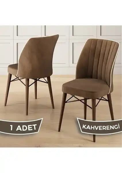 Canisa Nuna Serisi ve Lumodi Elma Modeli Sandalyelerin Karşılaştırması