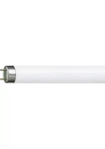 En Parlak Sinek Ampülü Floresan 15W BL: Uzun Ömürlü ve Etkili Böcek Kontrolü Çözümü