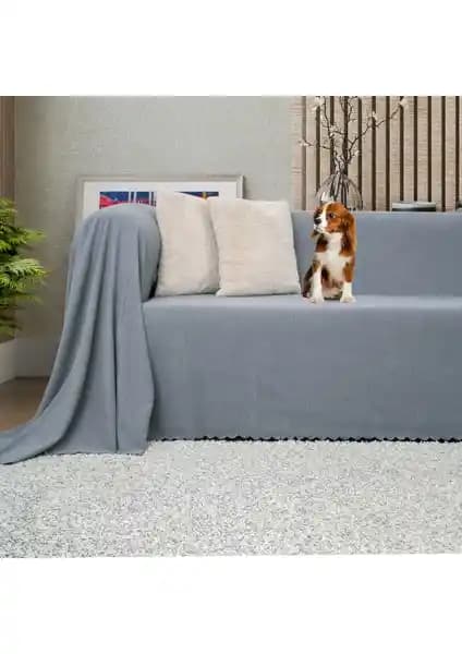Koltuk Örtüsü Karşılaştırması: Latuda Concept ve Özlü Home Modellerinin Özellikleri