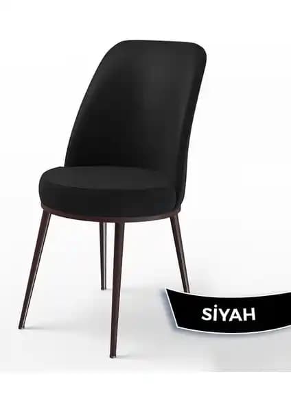 Mutfak Sandalyesi Karşılaştırması: Canisa Dexa ve Lumodi Elma Modelleri