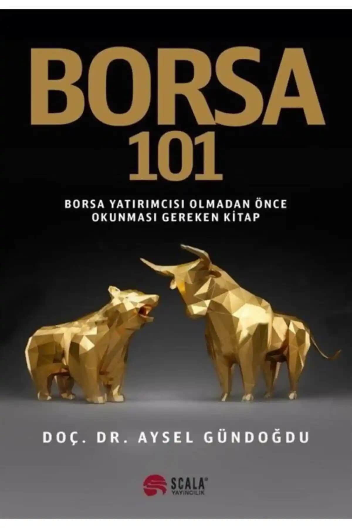 Borsa 101 Finans Dünyasına Giriş Rehberi Türkçe Yatırım Kitabı