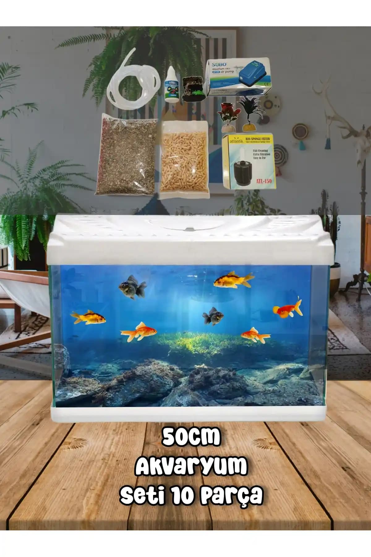 50 cm Akvaryum Seçenekleri ve Bakım İpuçlarıyla Estetik Su Altı Dünyası