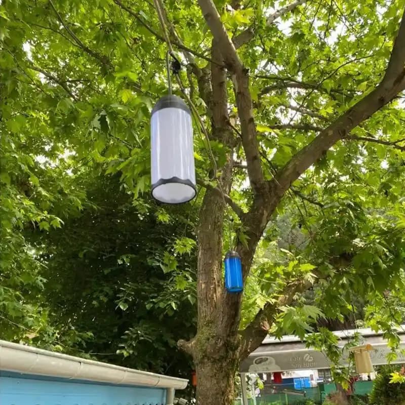 Ağaç Fenerleri ile Doğal ve Şık Dekorasyon Çözümleri