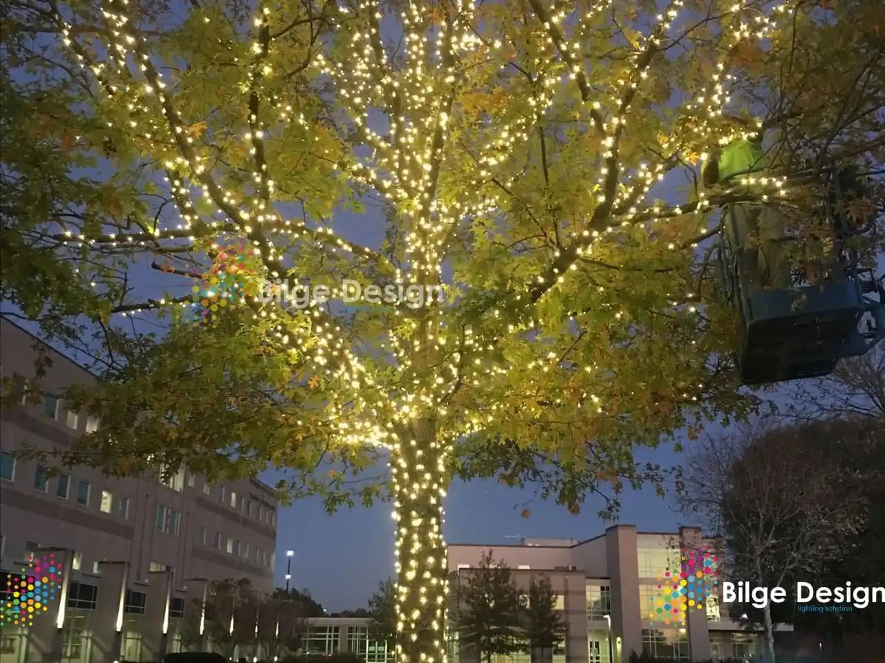 Ağaç Süslemeleri ile Doğadan İlham Alan Dekorasyonun Zarif ve Doğal Dokunuşları