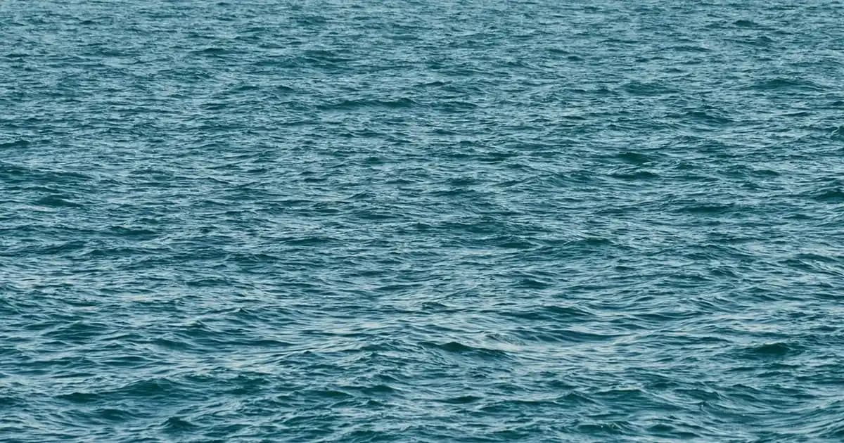Bölmeli Porselen Kahvaltı Tabağı ile Estetik ve Fonksiyonellik Bir Arada