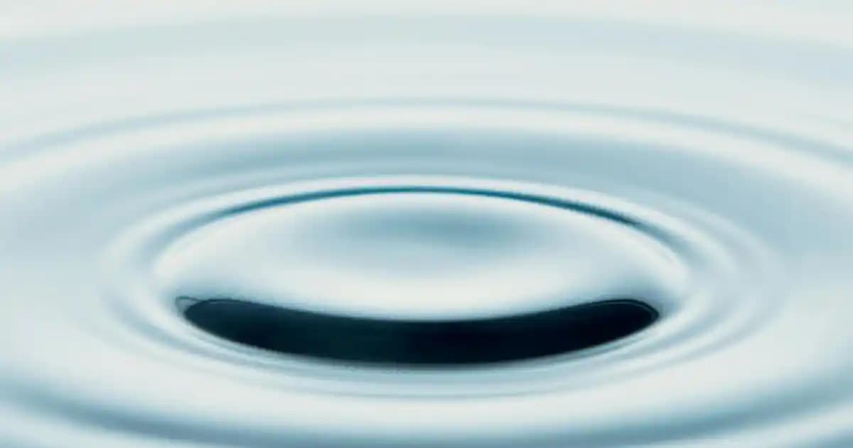 Evde Meybuz Yapımı ve Dekoratif Sunum İpuçlarıyla Yaz Lezzetlerini Keşfedin