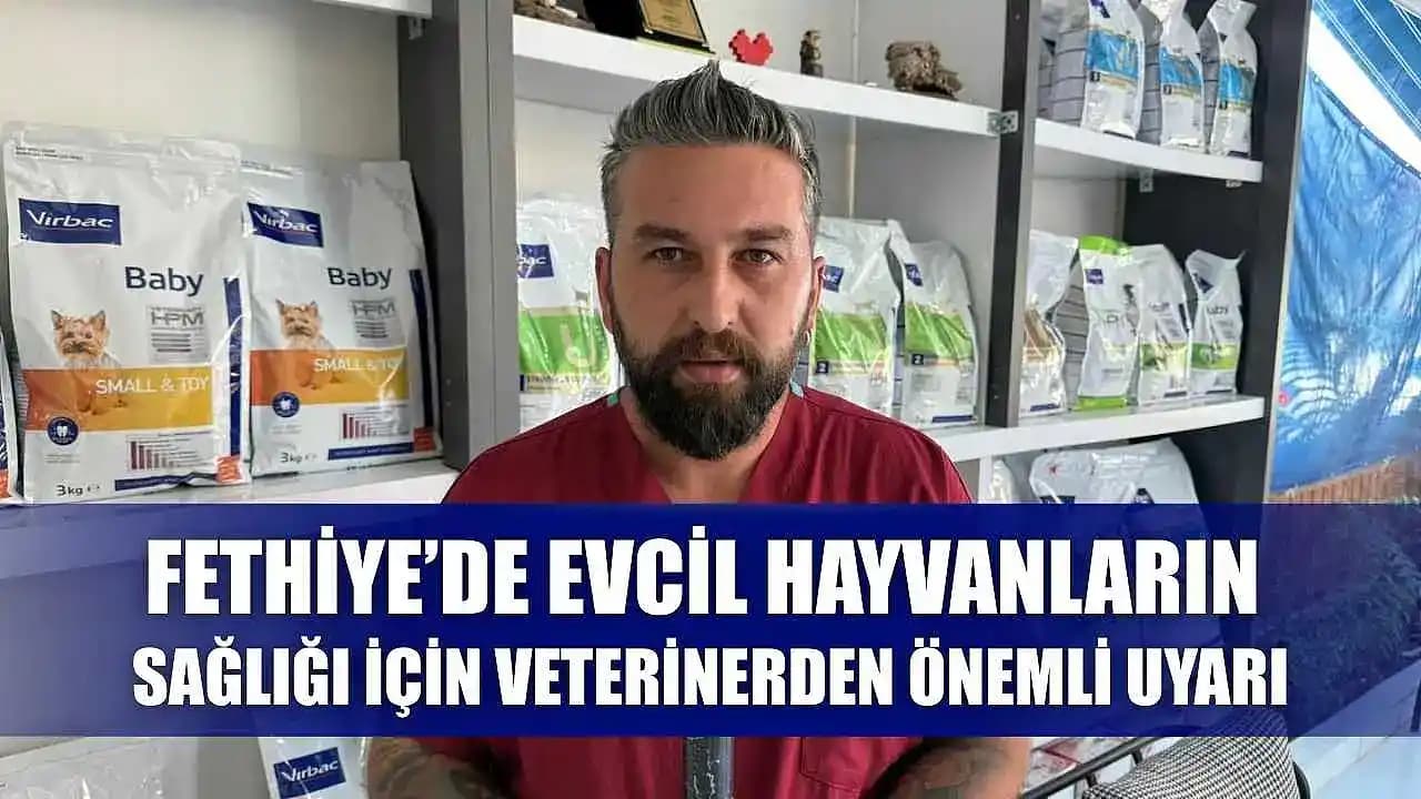 Bahçe Çitlerinde Açıkların Estetik ve İşlevsel Kapatma Yöntemleri ve Malzeme Seçenekleri