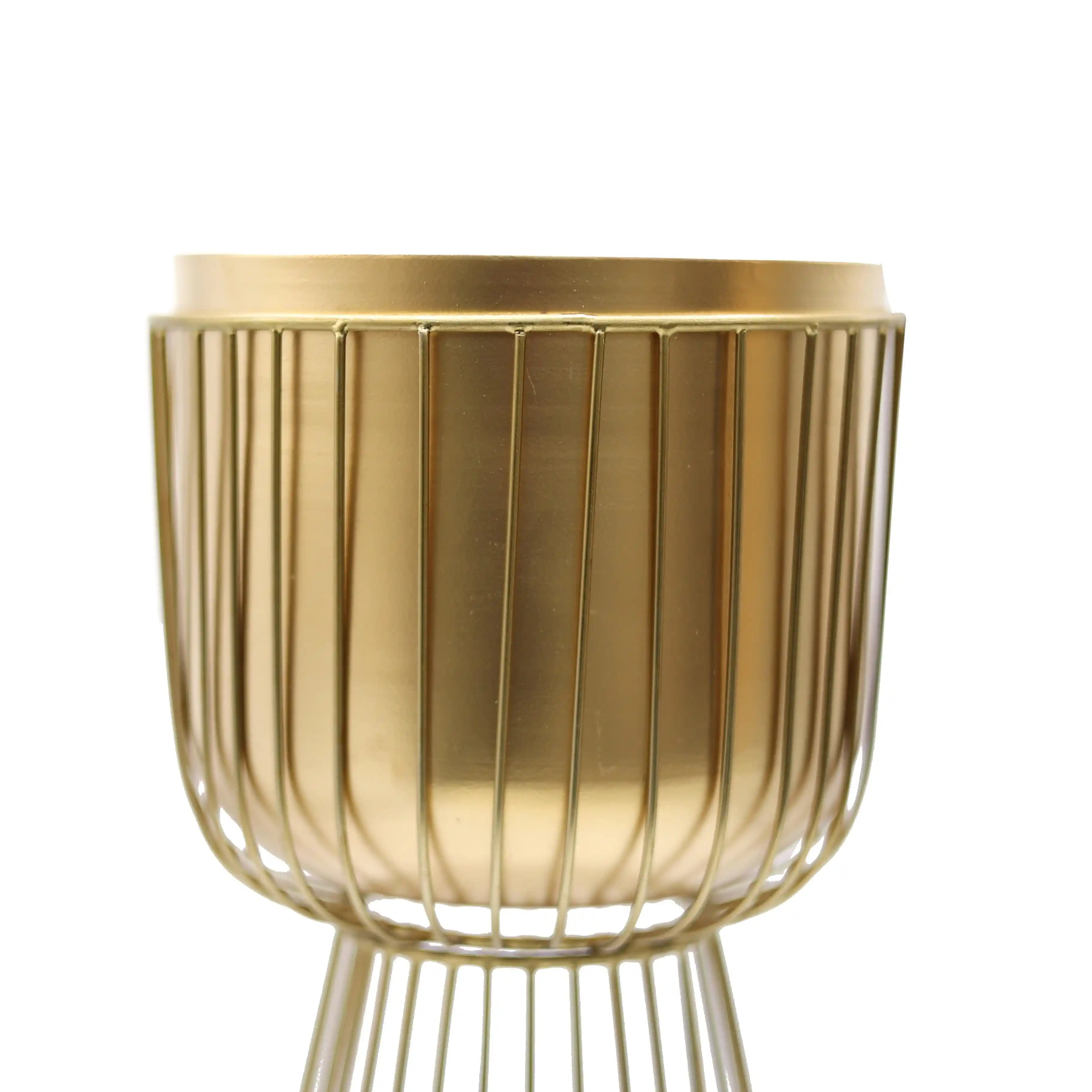 Altın Metal Saksılar ile Mekanlarınıza Zarafet ve Modernlik Katın