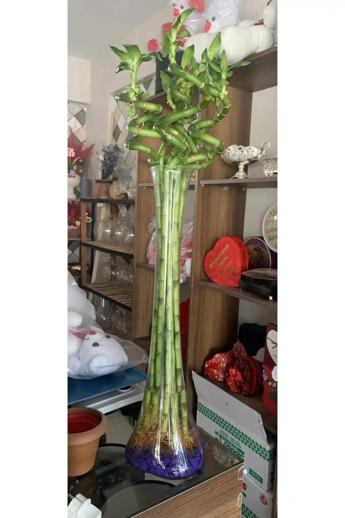 Bambu Çiçek Fiyatları ve Dekorasyonda Kullanım Avantajları Hakkında Bilgiler