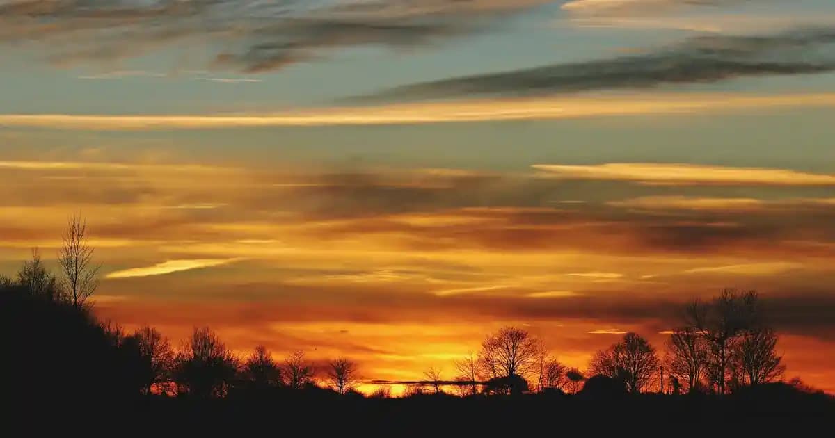 Bambu Düzenleyici ile Modern ve Sürdürülebilir Dekorasyon Çözümleri