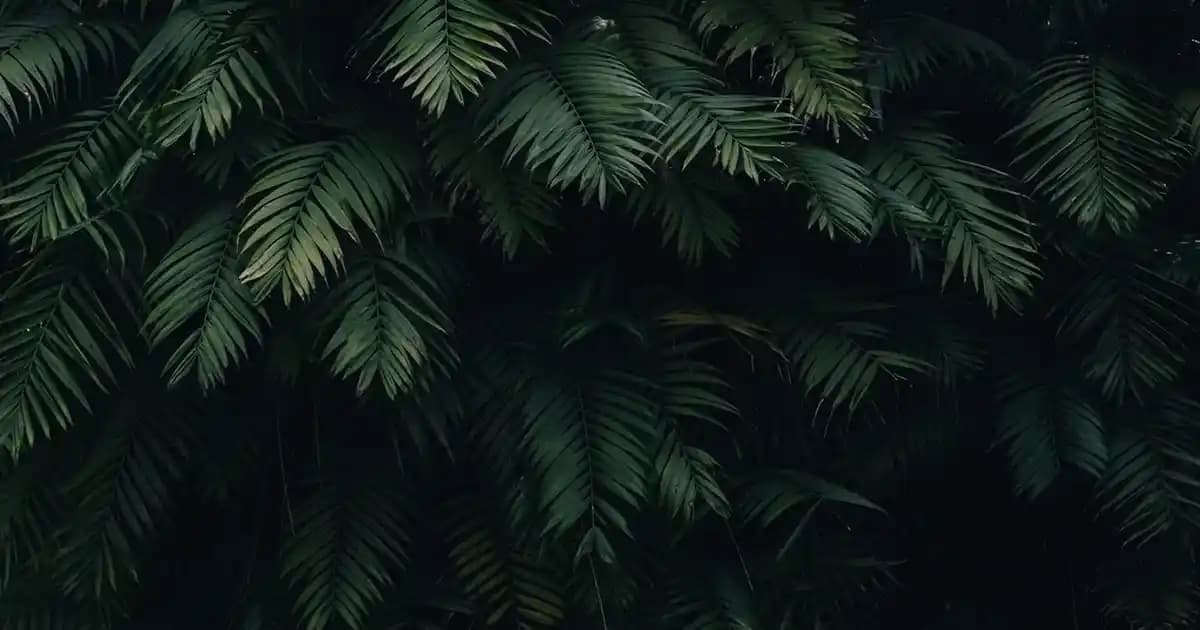 Bebek Hamak Beşikleri: Modern ve Güvenli Bebek Uyku Çözümleri ve Modelleri