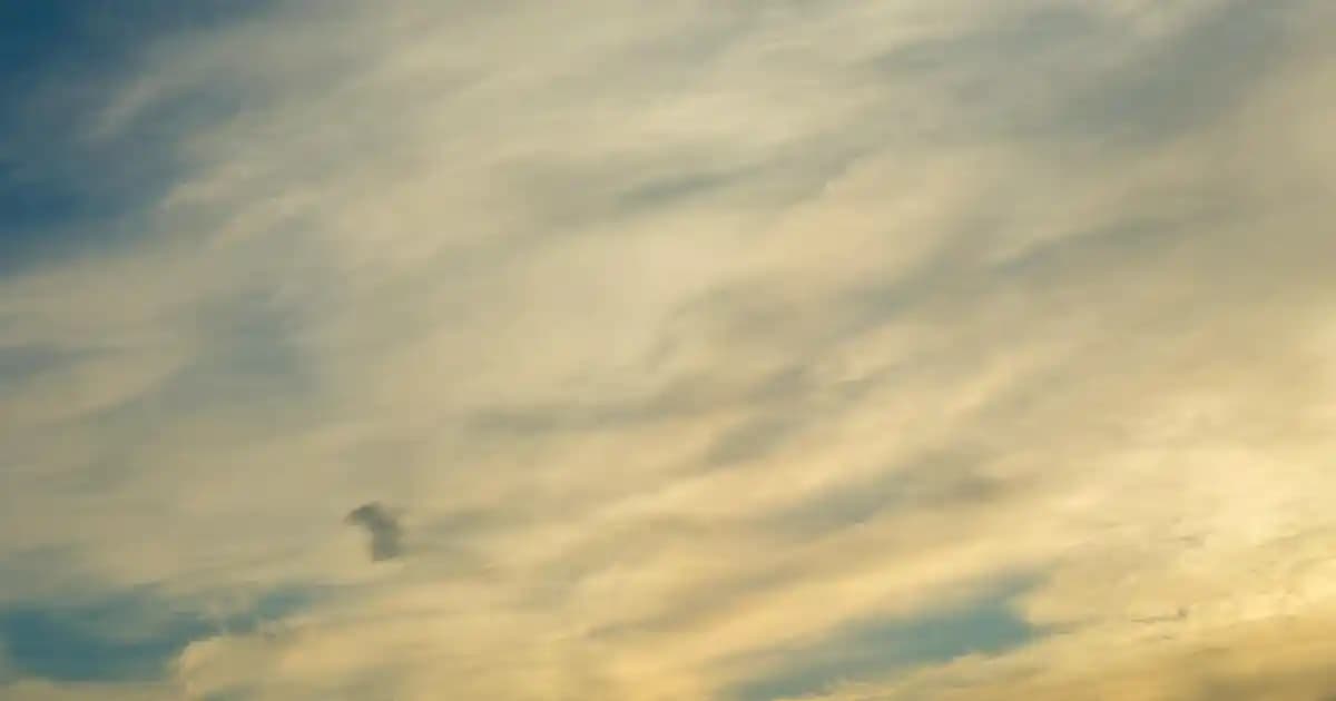 Beyaz Porselen ile Dekorasyon ve Mobilyada Zarafetin Güncel Kullanım İpuçları