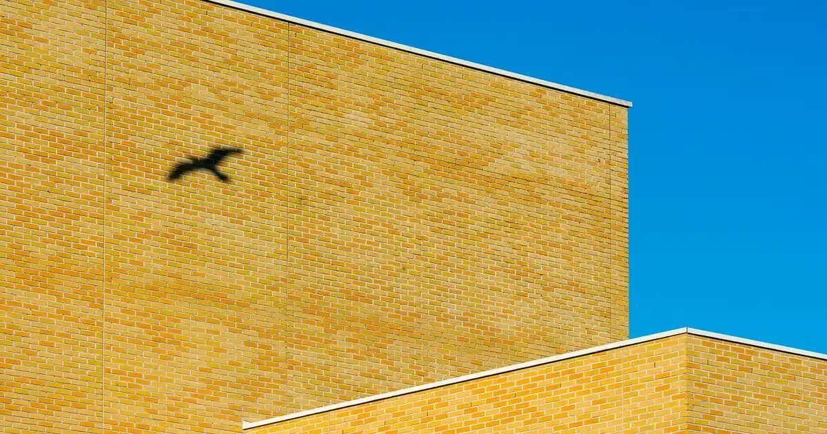 Büyük Boy Dünya Küresi ile Dekorasyon ve Mobilyada Zarafetin Anahtarı