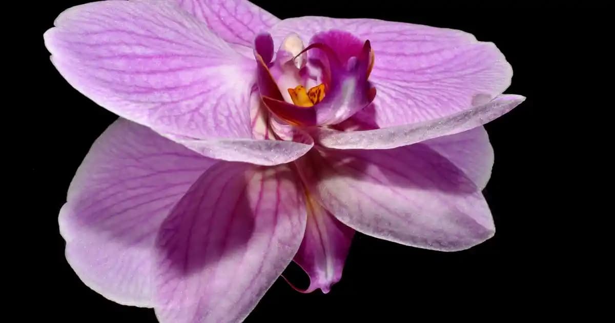 Çamaşır Sepetleriyle Evinizde Düzeni Sağlayan Şık ve Fonksiyonel Çözümler