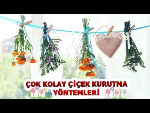 Çiçek Kurutma Yöntemleri ve Dekorasyonda Kullanım İpuçları