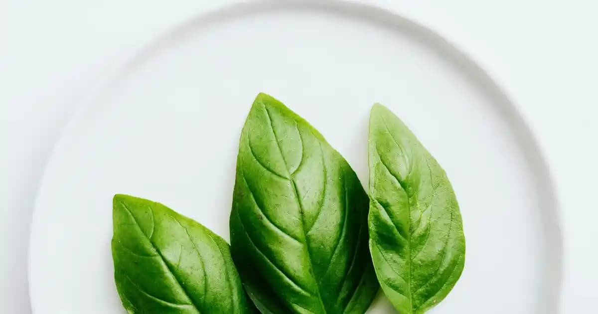 Dekorasyonda Sepet Kullanımı: İşlevsellik ve Estetiğin Uyumuyla Modern Mekânlar