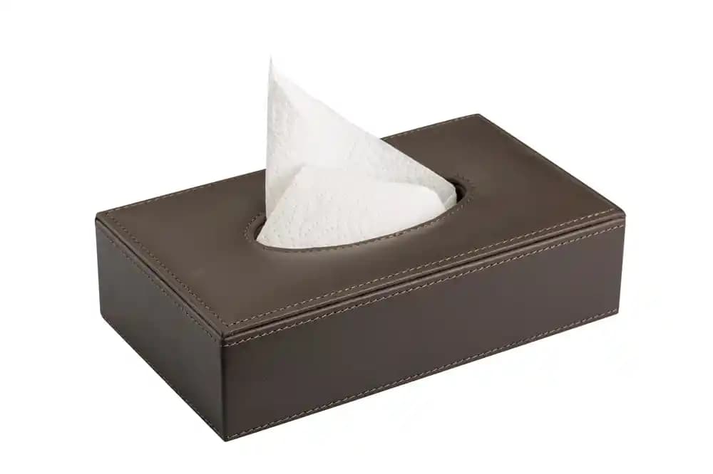 Deri Peçeteliklerle Dekorasyonda Şıklık ve Dayanıklılık Sağlama Rehberi