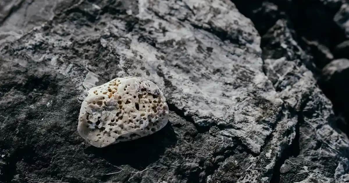 En İyi Silikon Servis Setleri: Sağlıklı, Dayanıklı ve Estetik Mutfak Gereçleri Rehberi