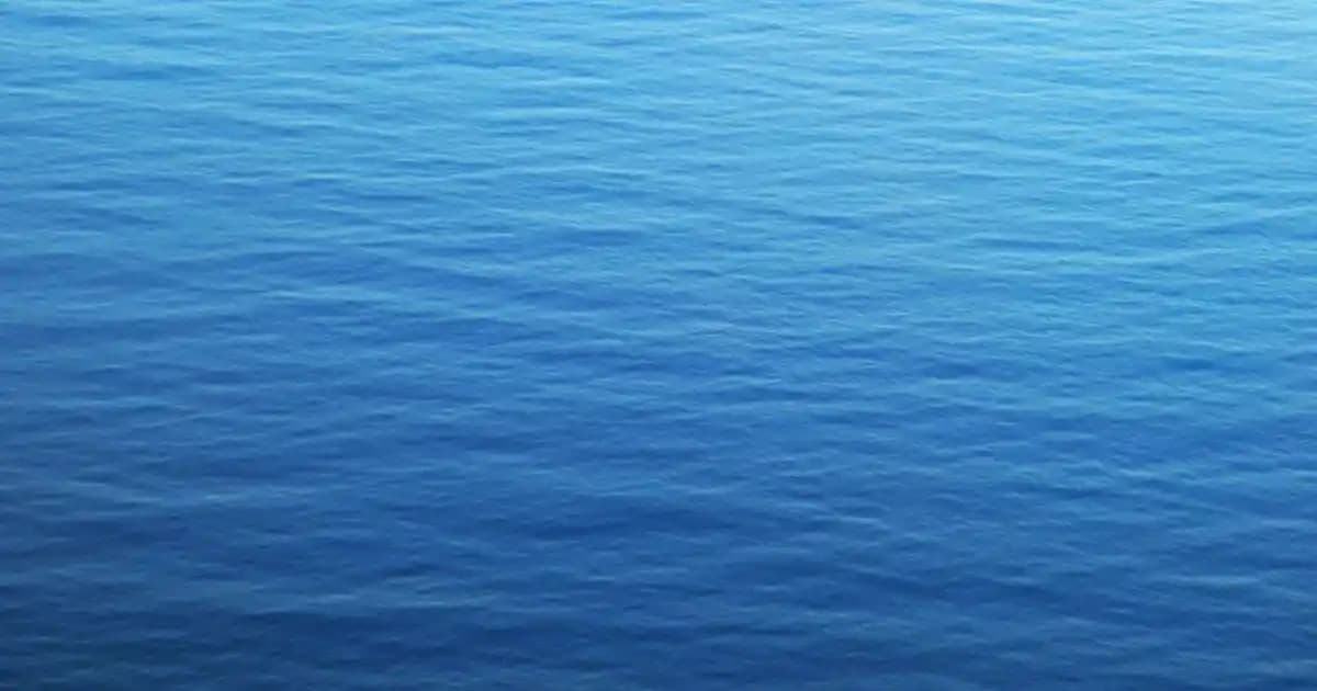 English Home Yatak Örtüsü ve Çarşaf Koleksiyonu: Modern ve Şık Yatak Odası Dekorasyonu