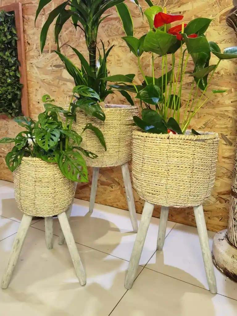 Hasır Saksı Modelleri: Doğal ve Şık Dekorasyon İçin Güncel Trendler