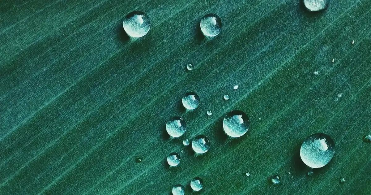 IKEA Sepet Modelleri ile Fonksiyonellik ve Estetiği Bir Arada Sunan Dekorasyon Çözümleri