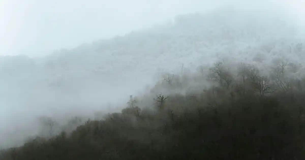 İnce Cam Kulplu Çay Bardağı: Estetik ve Fonksiyonellik Bir Arada