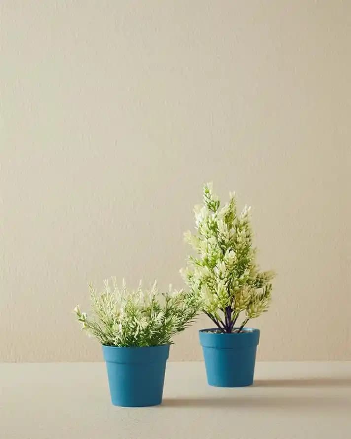 İngilizce Çiçek Temasıyla Zarif ve Anlamlı İç Mekân Dekorasyonu Yöntemleri