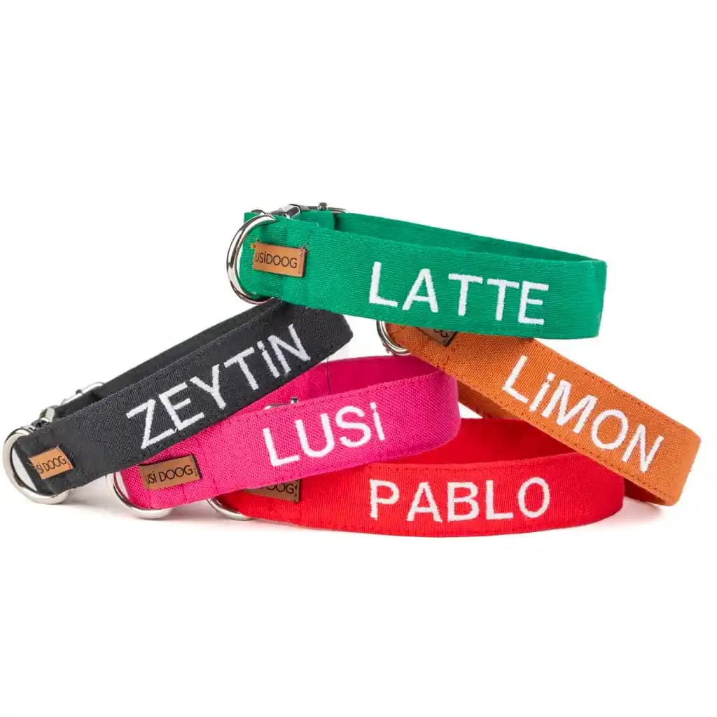 İsimli Köpek Tasmasıyla Ev Dekorasyonunu Kişiselleştirme ve Stil Katma Yöntemleri