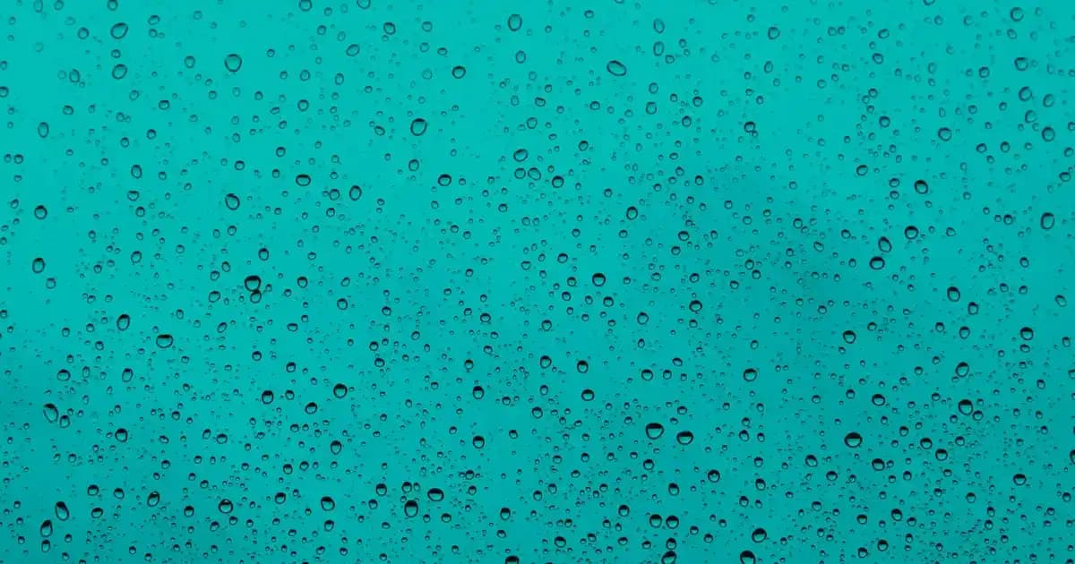 Karaca Orion Mat Gold Koleksiyonu: Modern ve Şık Dekorasyon Çözümleri