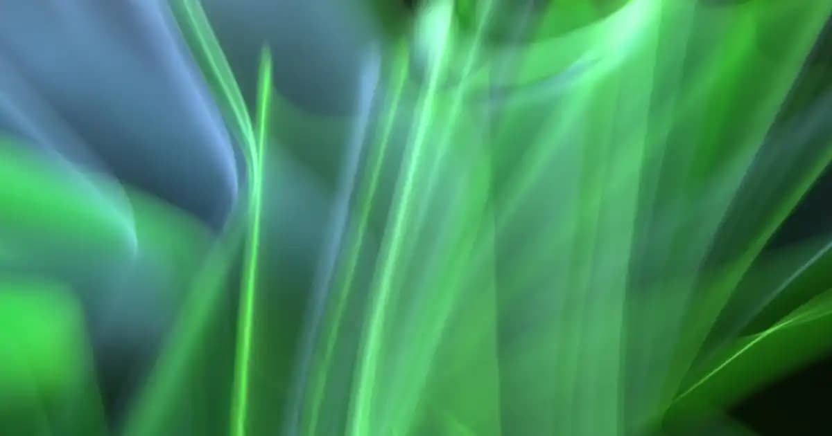 Kasımpatı ile Dekorasyonda Zarif ve Dayanıklı Çiçek Kullanım İpuçları