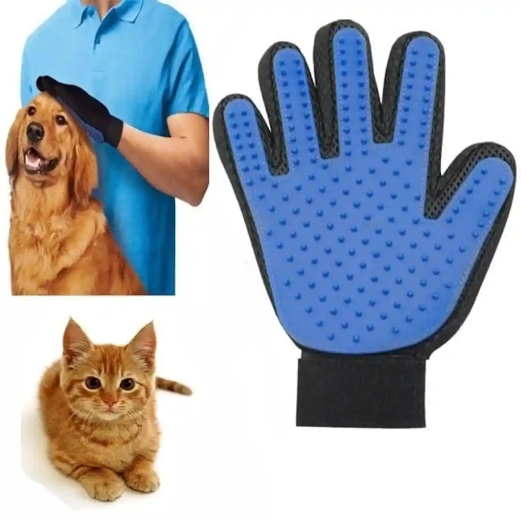 Kedi Bakımında Estetik ve Fonksiyonellik Sunan Modern Taraklar ve Eldivenler