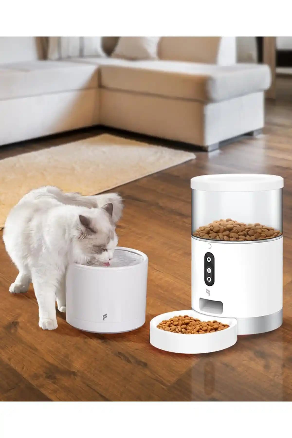 Kedi Mama Kabı Seçerken Dikkat Edilmesi Gerekenler ve Dekorasyonla Uyum Sağlama Yöntemleri