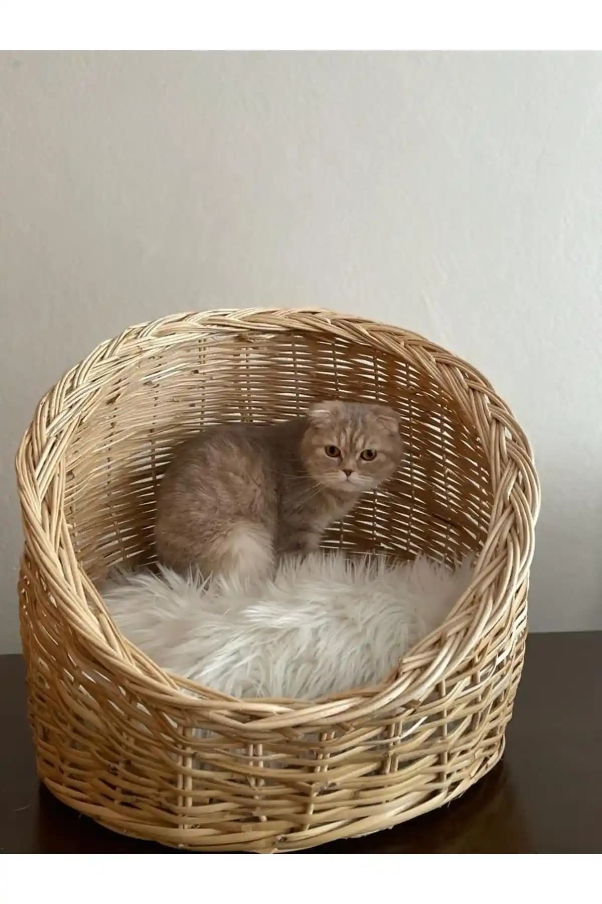 Kedi Sepetleri ile Ev Dekorasyonunda Şıklık ve Konfor Sağlama Rehberi