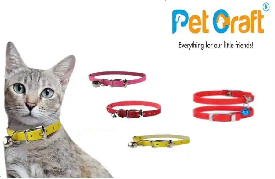 Kedi Tasma Dekorasyonu: Şık ve Fonksiyonel Seçeneklerle Ev Dekorasyonunu Tamamlayın