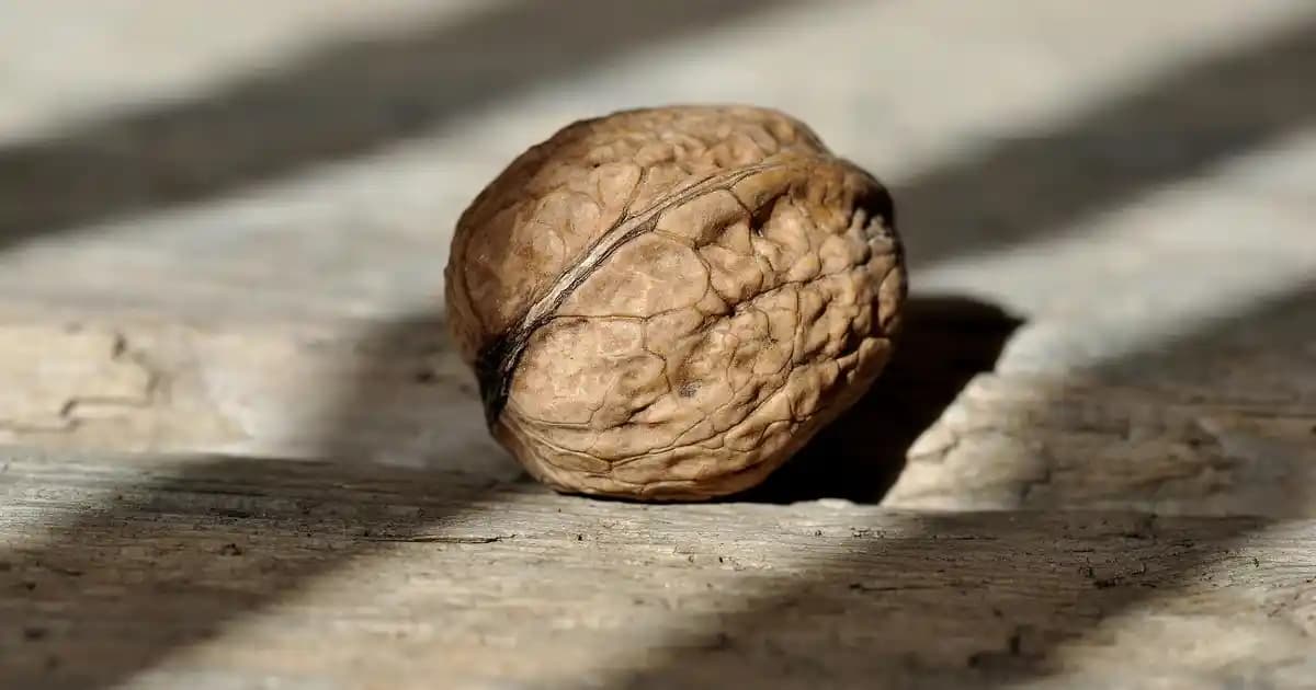 Küçük Çerçeve Dekorasyonunda Yaratıcı ve Şık Çözümler ve Tasarım İpuçları