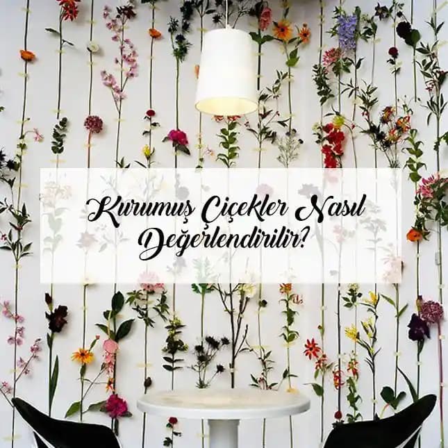 Kuru Çiçeklerin Dekorasyonda Kullanımı ve Yaratıcı Fikirler