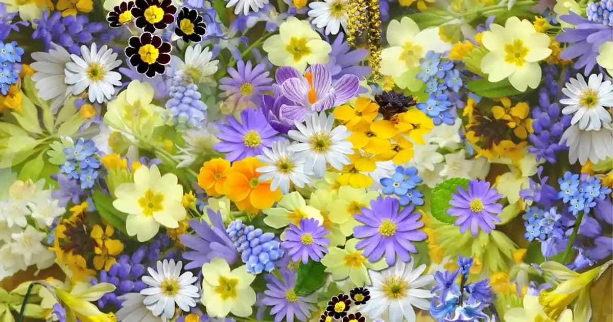 MDF Kapılar: Modern Dekorasyon ve Mobilya İçin Ekonomik ve Estetik Çözüm