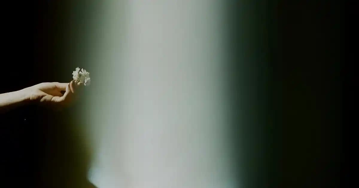 Metal Saksılar ile Modern ve Dayanıklı Dekorasyon Çözümleri 2023