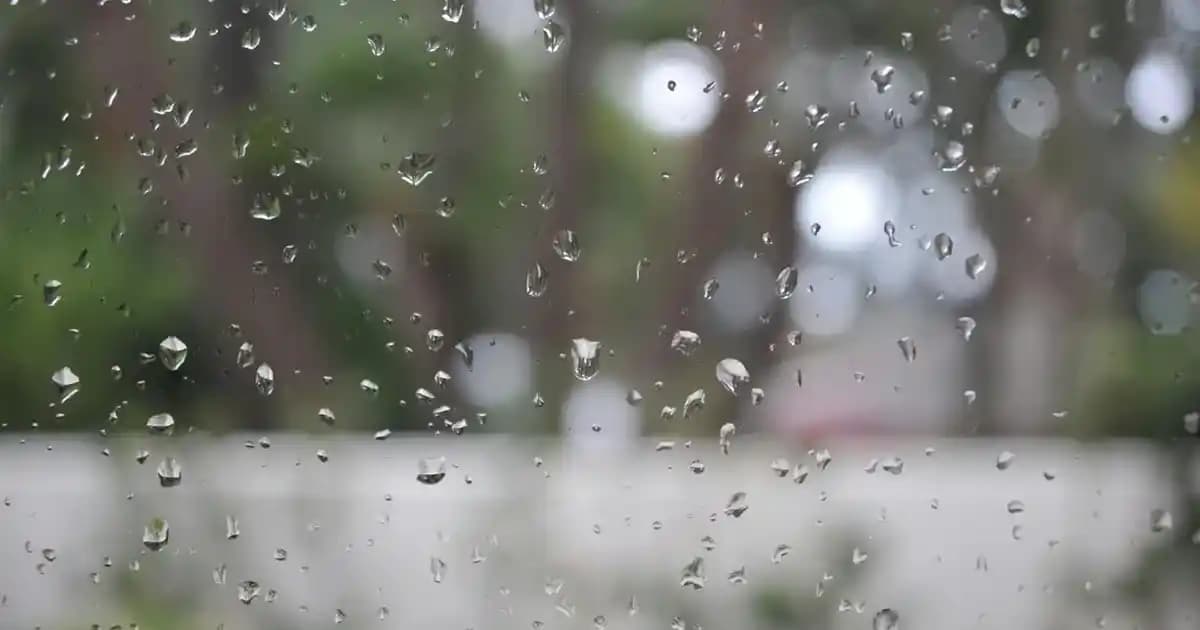 Mika Kase Nedir? Estetik ve Dayanıklı Mutfak ve Dekorasyon Ürünü Özellikleri