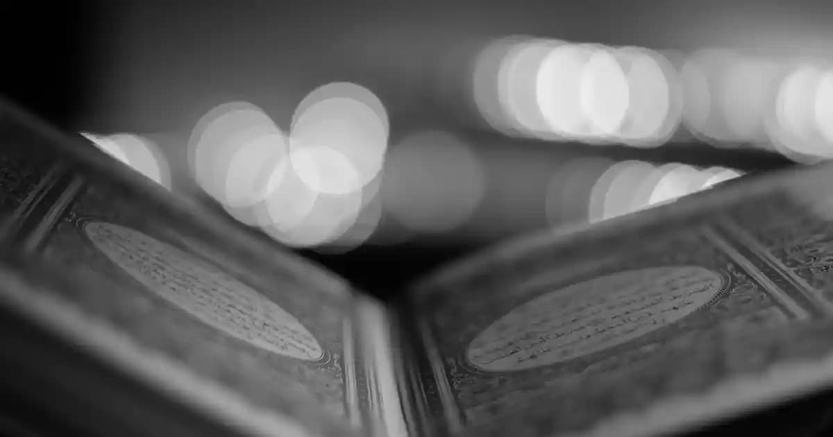 Mutfak Dekorasyonunda Estetik ve İşlevsel Portakal Sıkacakları Seçenekleri