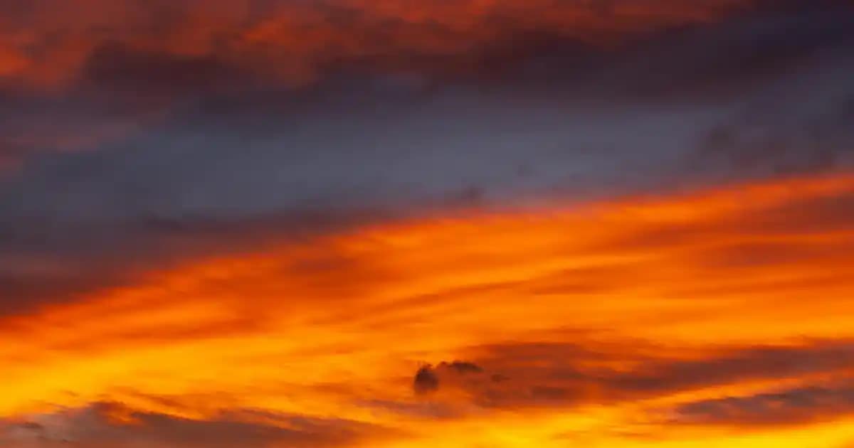 Organizasyon ve Dekorasyon İçin En Uygun Organizer Kutu Seçenekleri ve Kullanım İpuçları