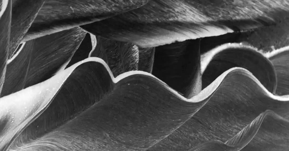 Peynir Tabakları ve Mobilya Uyumuyla Dekorasyonda Zarif Dokunuşlar