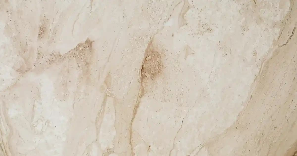 Saksı Ayakları ile Dekorasyonunuza Şıklık ve İşlevsellik Katın