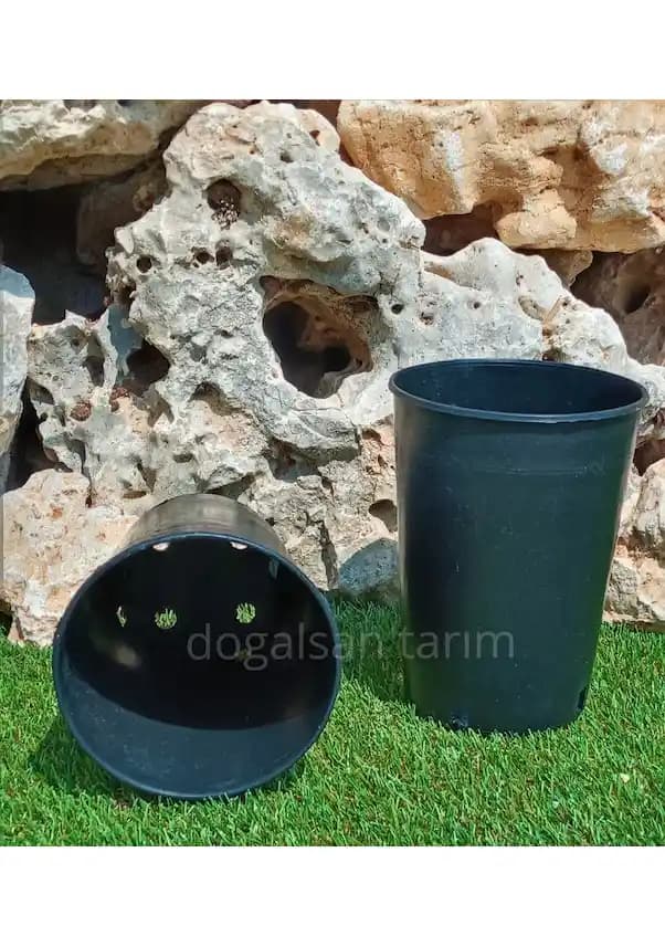 Saksı Fiyatları ve Dekorasyon Trendleri Güncel Analizi ve Fiyatlandırma Rehberi