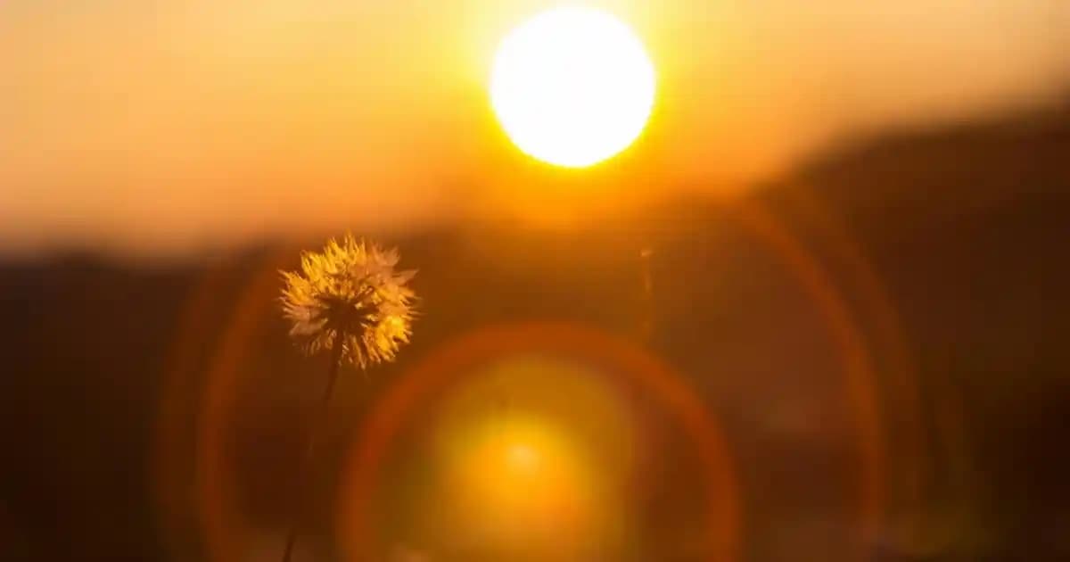 Şık Fincan Takımlarıyla Mutfak ve Dekorasyonda Zarafetin Yolu