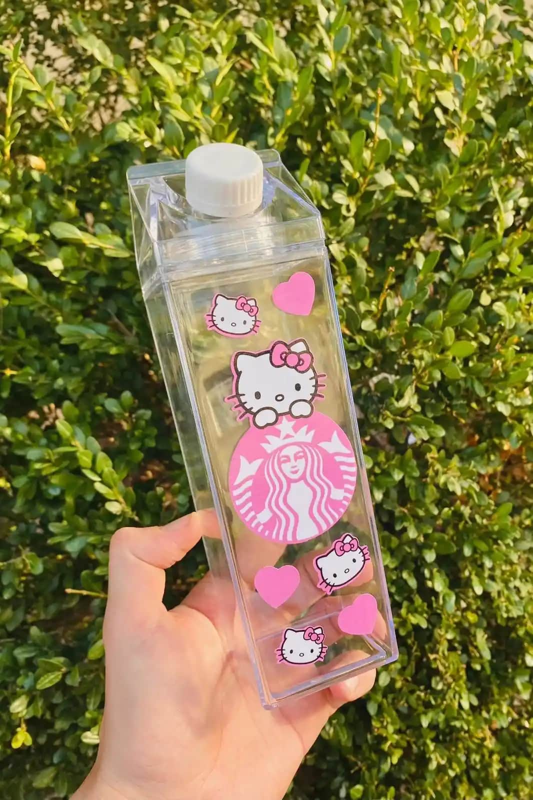 Süt Kutusu Şeklinde Suluklar Dekorasyon ve Mobilyada Yenilikçi Çözümler