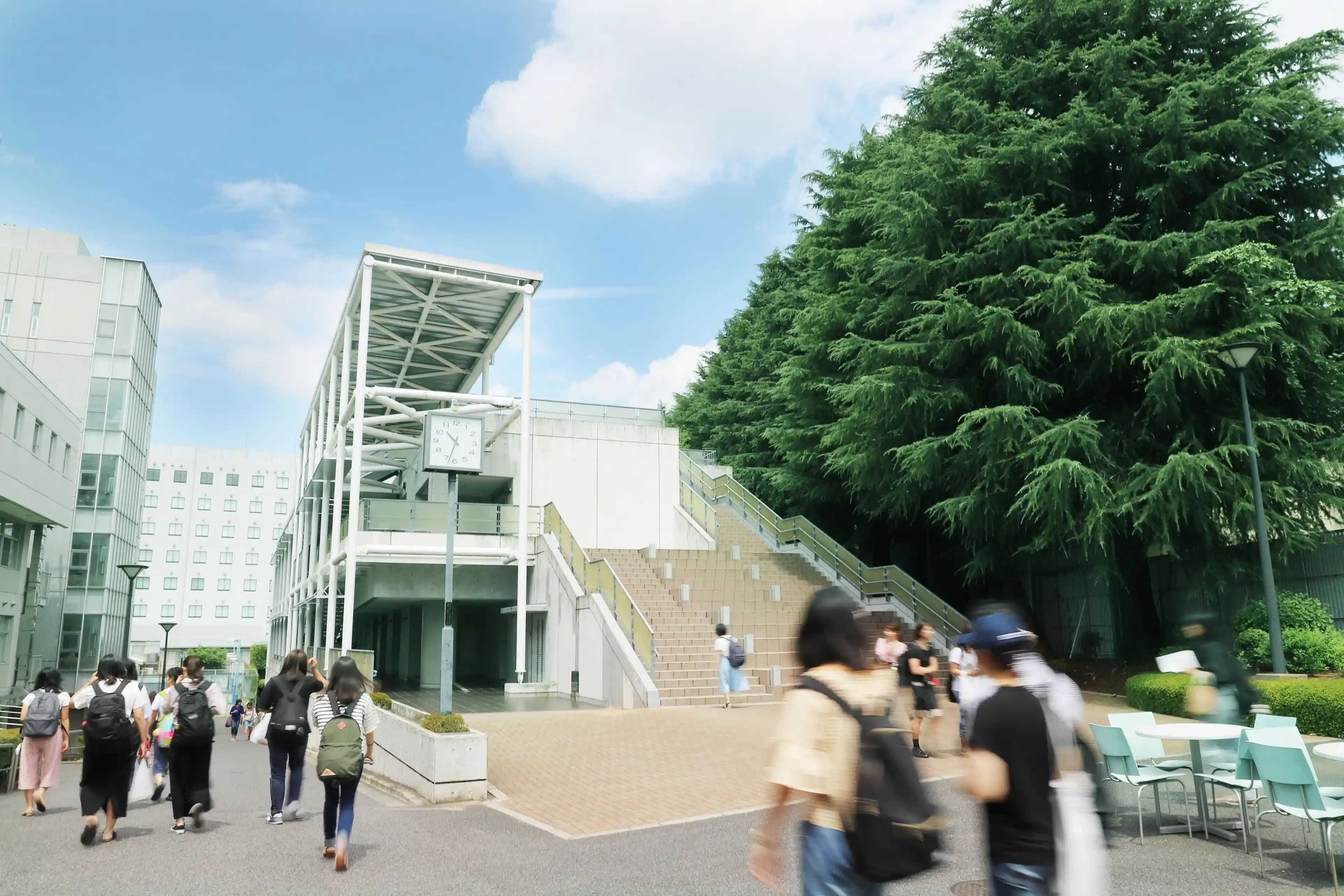 Tokio kase nedir? Modern ve şık tasarımlarla çok amaçlı kullanım avantajları
