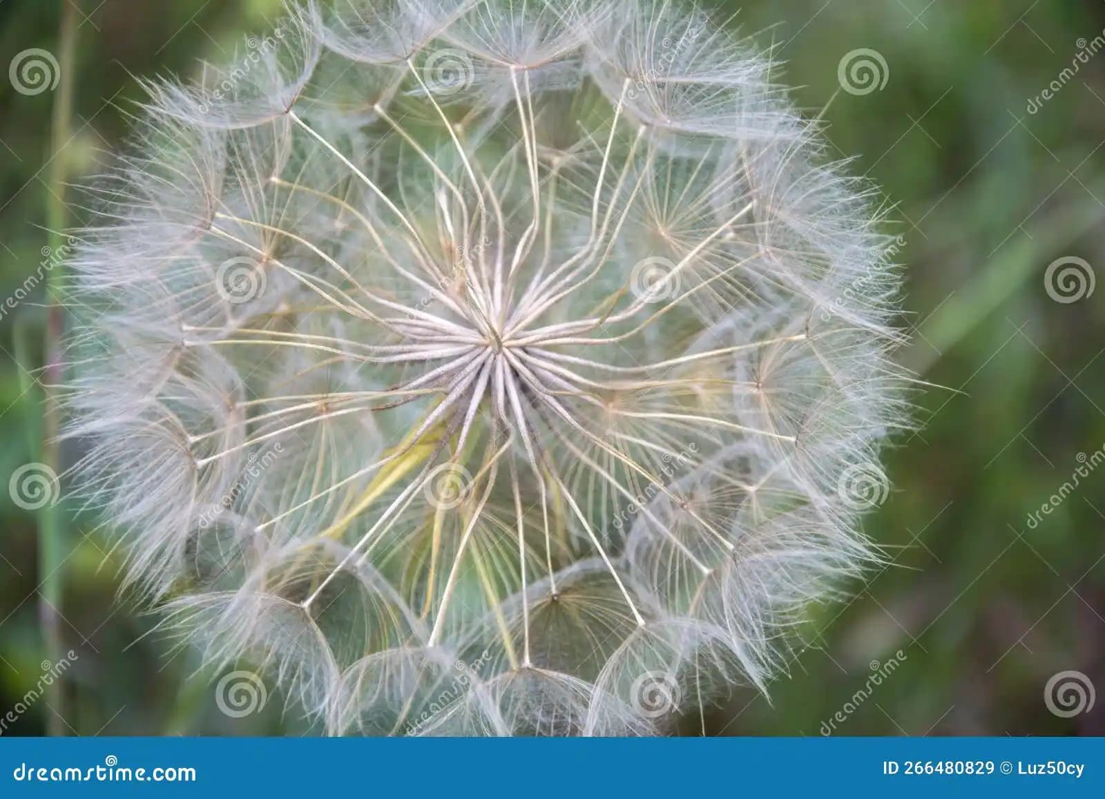 Tuft Detaylarıyla Mobilya ve Dekorasyonda Şıklık ve Konforun En Güzel Yolu