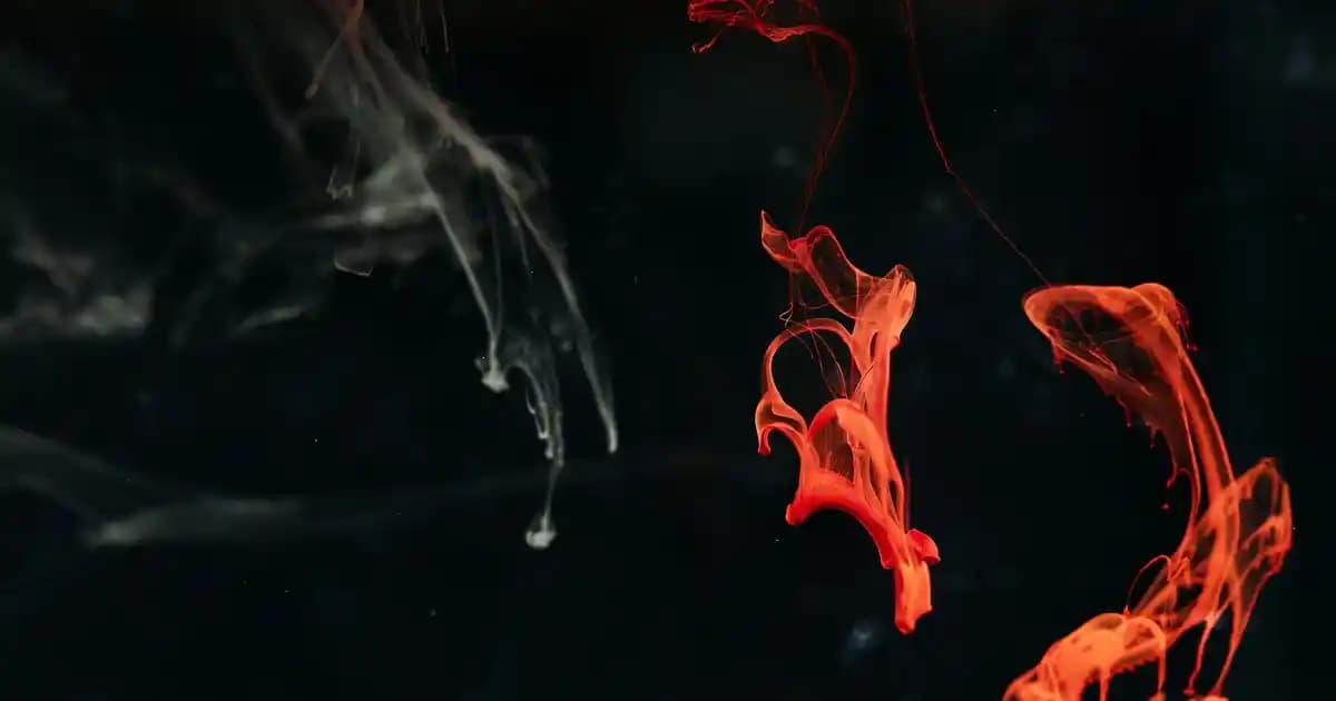 Türkiye'nin En Güvenilir Porselen Markları ve Dekorasyonda Şıklık İçin Seçim Rehberi